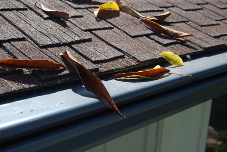 No Leaf Gutter Guard Image